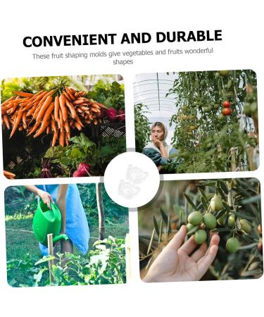 Toddmomy 4 Pcs Ingot Shaped Mold Vegetables Peach Growing Form Mold Pear Gardening Supplies Fruit Stereotypes - Buy Online on GoSupps.com
