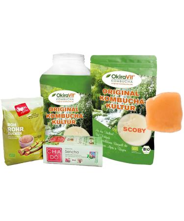 Kombucha complete set with 3 l fermentation glass Bio Kombucha-Teepilz (cutter) in highly vital approach fluid.Premium quality.Success guarantee.From the Bad Kohlgrub Verwad from Okiravit complete set with 3L fermentation glass