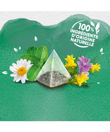  Elephant Elephant Gentle Digestion Infusion Mint Chamomile and Rooibos Flavor Rainforest Alliance Certified 100% Naturally Sourced Ingredients 20 Pyramid Tea Bags - Buy Online on GoSupps.com