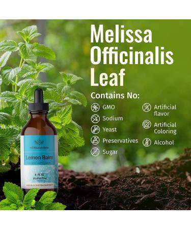 HERBAMAMA Lemon Balm Liquid Extract - 4 fl. Oz Bottle - Organic Melissa Officinalis Drops for Mood and Brain Support - Natural Sleep Aid - Vegan & Alcohol-Free - Buy Online on GoSupps.com