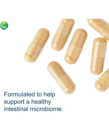 ParaBiotic Plus: Organic Neem, Wormwood & Black Walnut - 90 Capsules | Immune & Microbiome Support - Gluten-Free, Vegan, Non-GMO - Buy Online on GoSupps.com
