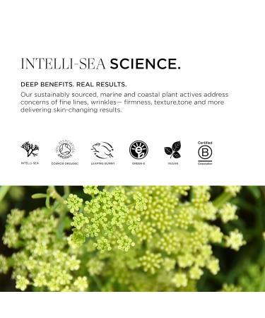 Vitalisea Time Traveler Facial Serum | Bio-Retinol Anti-Aging Organic | Vegan & Enhances Cellular Turnover | 1 Oz - International Shipping - Buy Online on GoSupps.com