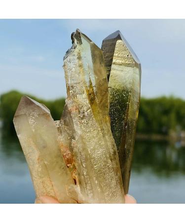 100G Natural Citrine Cluster Specimen Quartz Crystal Suitable for Home ERTEYIN - Buy Online on GoSupps.com