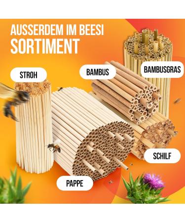 BEESI 300 x Cardboard Tubes For Insect Hotel 15 cm Long Diameter 6 and 8 mm Mixed Includes E-Book (English Language Not Guaranteed) Nesting Tubes and Nesting Sleeves For Wild Bees - Buy Online on GoSupps.com