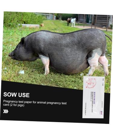 Iplusmile 4-Piece Animal Pregnancy Test Strips for Pigs | Agricultural Supplies | Farm Animal Pregnancy Testing Tool - Buy Online on GoSupps.com