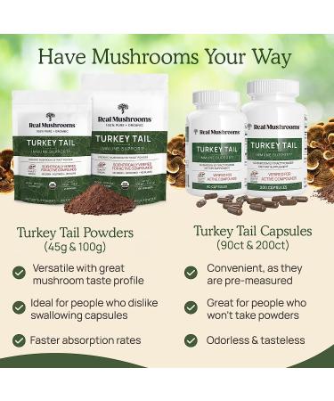 Organic Turkey Tail Mushroom Extract Powder - 45 Servings for Immune Support & Wellbeing | Vegan & Non-GMO - Buy Online on GoSupps.com
