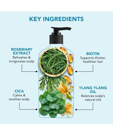 Botanic Hearth Shampoo - Volume & Growth - 16 Fl OZ. - Buy Online on GoSupps.com