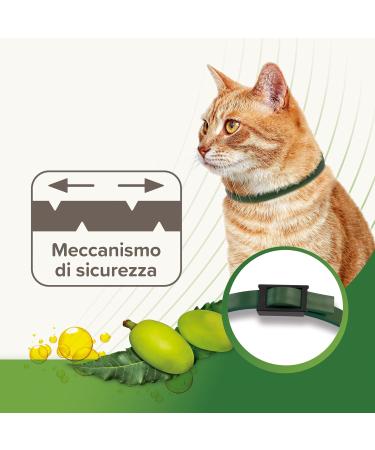 Beaphar Cat Collar Natural Protection - Buy Online on GoSupps.com