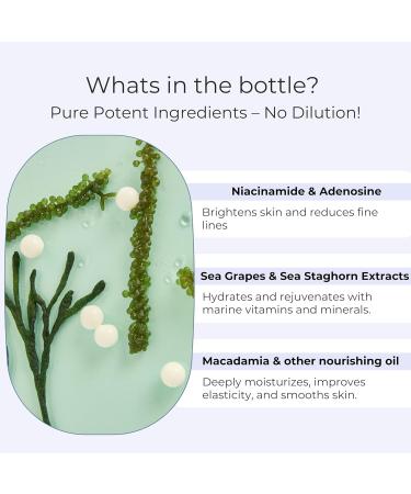 Vitality Pearl Beads Solid Serum - K-Beauty Vegan Skincare for Hydrated Glowing Skin | Anti-Aging Brightening with Niacinamide & Seaweed | Plastic-Free Packaging - Buy Online on GoSupps.com