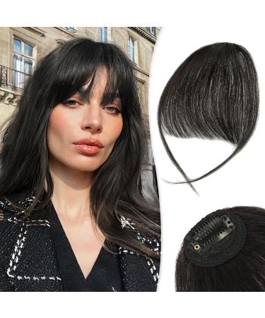 RUWISS Clip in Fringe 100% Human Hair Clip in Bangs Wispy Bangs Fringe with Temples Fringe Extensions Clip in Hair for Women Bangs Hairpieces for Daily Wear(Natural Black) 5 5 g (Pack of 1) Natural Black