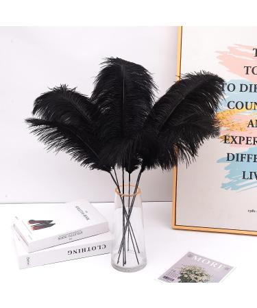 Ballinger Black Ostrich Feathers Bulk Kit - 10Pcs 28inch for Floral Arrangement, Wedding & Halloween Decor - Buy Online on GoSupps.com