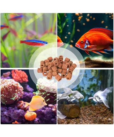 Tylyworth Aquarium Plant Anchor - 80 Pieces Weights & Holders for Aquascaping | Anti-Swimming Accessories for Aquarium Landscape - Buy Online on GoSupps.com