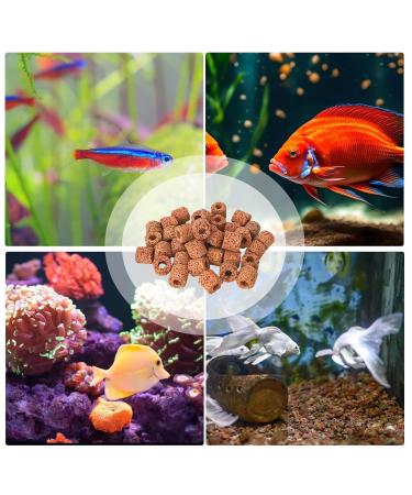 Shenrongtong Aquarium Plant Weights - 80 Solid Rings for Aquatic Plants | Anti-Swimming Flower Pot Holders & Aquarium Accessories - Buy Online on GoSupps.com