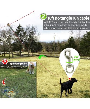 Durable Dog Running Line 30.5m | Ideal for Large & Small Dogs - Heavy-Duty 3m Runner Cable for Garden & Outdoor Use - Buy Online on GoSupps.com
