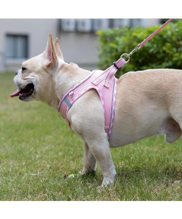 Doramio Dog Harness for Small Dogs - Reflective Breathable Anti-Pull | Includes Leash & Step-In Design | Cat Harness Available (Pink M) - Buy Online on GoSupps.com