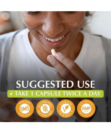 Jiva Botanicals Amla Capsules Vegan - Indian Gooseberry Supplement 120 Serving. Easy to Take Amla Powder Alternative from. Also Known as Amala or Amalaki. Natural Source of Vitamin C. Made in USA 1 Count (Pack of 120) - Buy Online on GoSupps.com