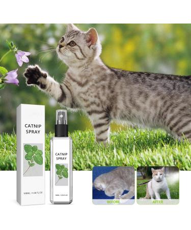 100ml Herbal Cat Joy Spray Herbal Cat Joy Celery Pets Catnip Spray for Cats Cat Scratching Spray Mist Cat Training Spray with Catnip Catnip Spray for Indoor Cats Cat Nips Spray for Cat Anxiety Relief - Buy Online on GoSupps.com