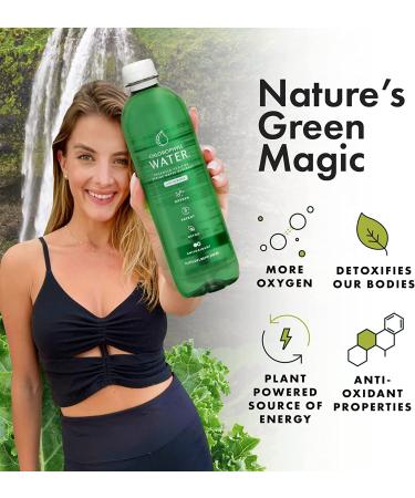 Chlorophyll Water: Plant-Based Vitamin Drink | Antioxidant & Detox Support | Immune Boost & Energy | Liquid Chlorophyll & Minerals | Zero Calories | 6pk - Buy Online on GoSupps.com