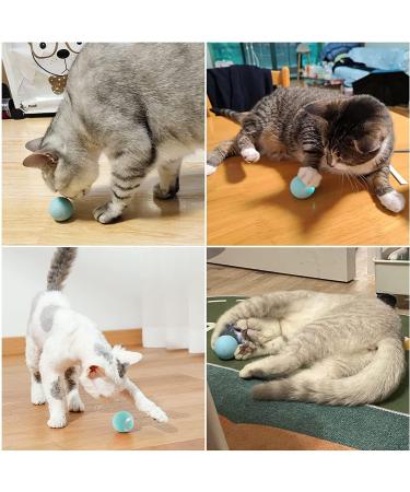 Havenfly Interactive Cat Ball Toy Intelligent Indoor Automatic Moving Ball Puzzle Dispel Boredom USB Charging Pet Toy with Light Fun Present for Kitten (Blue) Blue+roll - Buy Online on GoSupps.com