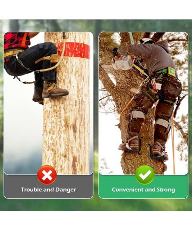 Jackfruit Tree Climbing Nails 16PCs | Climbing Crampons for Tree Climbing Survival & Fruit Picking - Buy Online on GoSupps.com