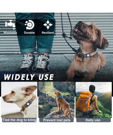 Shop Airtag Dog Collar & Silicone Cover for GPS Tracking | Anti-Loss & Safety Pet Accessories (Blue-Red) - Buy Online on GoSupps.com