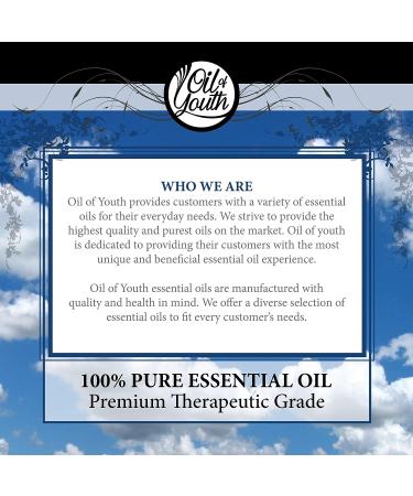 Rose Essential Oil - 8oz Bottle for Skin and Aromatherapy - Buy Online on GoSupps.com
