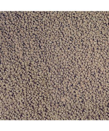 Buy Sera Granured Nature 1000ml - Premium Granulate Food for Smaller Carnivore Cichlids | Ideal for Malawi & Tanganyika | International Shipping Available - Buy Online on GoSupps.com