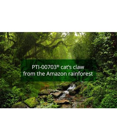 Percepta Plant-Based Memory Support - Natural Nootropic for Memory, Focus & Concentration - 30 Day Supply - Buy Online on GoSupps.com