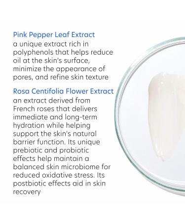 PCA SKIN HydraMatte Oil Control Moisturizer Face Moisturizer for Oily Skin Helps Reduce Oil and Promotes a Smoother Complexion Absorbs Quickly Great for Combination and Oily Skin 1.8 oz Jar - Buy Online on GoSupps.com