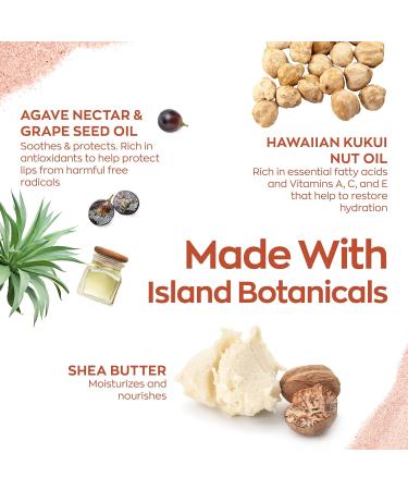 Hanalei Lip Treatment Bundle - Clear & Mauve Pink | Infused with Kukui Oil, Shea Butter, Agave & Grapeseed Oil for Dry Lips (Cruelty-Free & Paraben-Free) - Buy Online on GoSupps.com