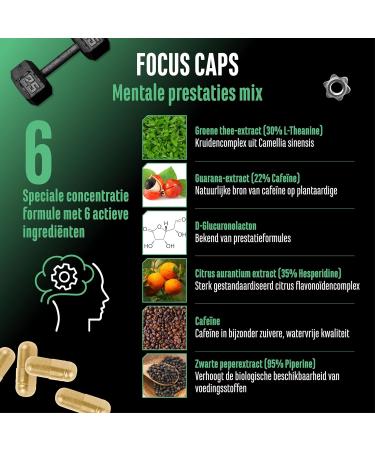 VitamineVersand 24 Focus Caps 120 Capsules Mental Performance Blend with LTheanine Green Tea Guarana Citrus Aurantium Extract Caffeine DGlucuronolactone High Dose Vegan - Buy Online on GoSupps.com