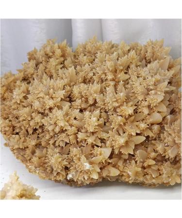 Natural Crystal Rough 1pc Oversized Natural Yellow Calcite Cluster coarse Specimen Crystals Quartz Flower Cluster Beautiful Home Decor Decoration (Size : 1200-1400g) - Buy Online on GoSupps.com