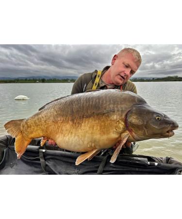 Tandem Baits Carp Food Boosted Hookers Carp Bait Carp Fishing Fishing Pop-Ups Carp Boilies Professional Carp Fishing Accessories 18mm 300g - Buy Online on GoSupps.com