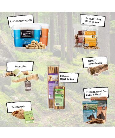 100% Natural Chewies Chewing Root for Dogs - Durable & Safe Dog Toy for Small Dogs (Up to 10kg) | Baumheide Wurzel - S (1 Pack) - Buy Online on GoSupps.com