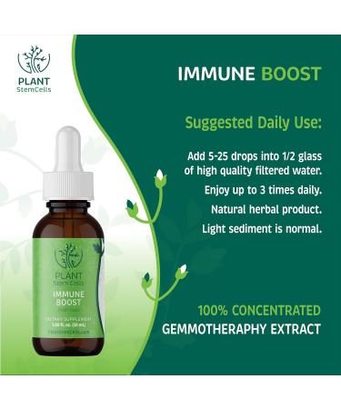 Plant Stem Cells Gemmotherapy Immune Boost | Black Elder (Elderberry) Echinacea & Yarrow | Natural Immune Support Metabolic Health Menses Health Detoxification and Wellness* Daily Multivitamin - Buy Online on GoSupps.com