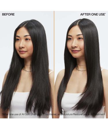 REDKEN Moisturizing conditioner with argan oil for dry and fragile hair completely soft 500 ml & Redken All Soft Shampoo 1 x 500 ml - Buy Online on GoSupps.com