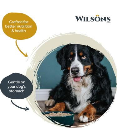 Wilsons Salmon Oil for Dogs UK - 100% Natural Joint Health Supplement Omega 3 6 9 - Adult Dogs & Puppies 2 Months+ - 1L - Buy Online on GoSupps.com
