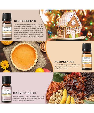 EUQEE Holiday Cheer Fragrance Oils Set - Forest Pine, Christmas Wreath, Brown Sugar, Harvest Spice, Gingerbread, Pumpkin Pie - 10ml Scented Oils for Diffuser and Candle Making - Buy Online on GoSupps.com