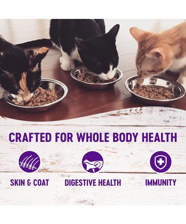 Wellness Complete Health Grain-Free Chicken Wet Cat Food - 12.5 oz Pate - Pack of 12 - Natural, Made in USA - Buy Online on GoSupps.com