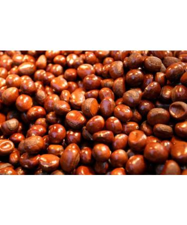 Whole Chestnuts 500g x2 .Resturant Quality. Merchant Gourmet - Buy Online on GoSupps.com