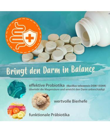 Ida Plus Darmiotic Probiotics for Dogs - Test Winner for Intestinal Renovation - 240 Tablets - Healthy Gut Flora & Immune Support - 2 Set - Buy Online on GoSupps.com