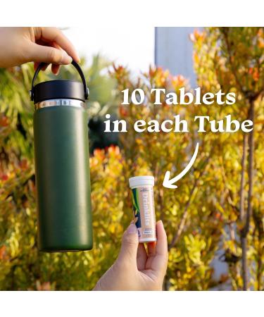 Buy Drinklits Ginger-Lime Daily Hydration Tablets - 0g Sugar Electrolytes Travel Essential (Pack of 4) - Organic Ginger 40 Count - Buy Online on GoSupps.com