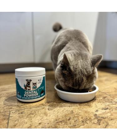 NutriPaw Dental Powder for Dogs & Cats - Clean Teeth, Healthy Gums & Fresh Breath - Plaque & Tartar Control - Fuss-Free Oral Care Solution - Lasts Up to 6 months - Buy Online on GoSupps.com