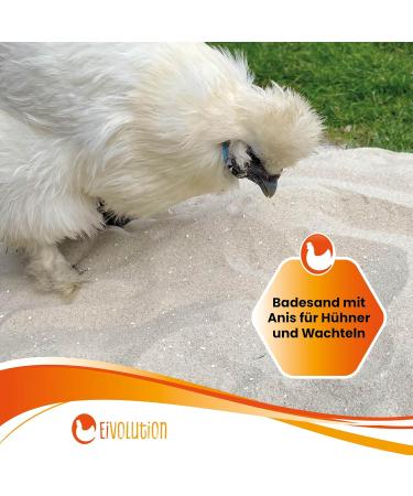 Eigenand Bathing Sand 8 kg for Chickens & Quail | Anise & Lime Grit | Plumage Care & Parasite Control | Enhance Poultry Well-Being - Buy Online on GoSupps.com