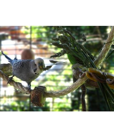 Natural Cork Climbing Rope for Birds - Eco-Friendly Bird Toys and Accessories for Budgies and Cockatiels - Buy Online on GoSupps.com