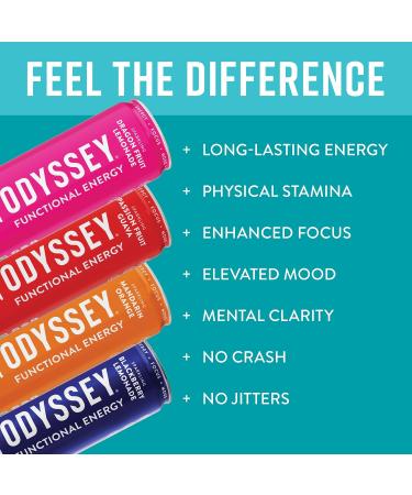 Odyssey Functional Energy Drink for Focus, Cognition & Mood Support Adaptogenic Drink with 85mg Green Tea Caffeine, Lion’s Mane, Cordyceps, L-Theanine & Ginseng - Variety Pack 12 Pack - Buy Online on GoSupps.com