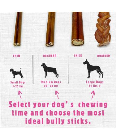Premium Bully Sticks for Dogs - All-Natural Beef Pizzle Sticks for Puppies to Medium Dogs Dental Chew Treats for Healthy Teeth and Gums Fully Digestible Gluten-Free (Thin 12-15 cm 250gr) Thin-Regular 15 count (Pack of 1) - Buy Online on GoSupps.com