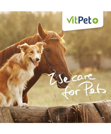 Vitpet+ Huf Probio - Special Mineral Feed for Horses with Biotin & Zinc - 4kg for Healthy Hoof Growth Includes Dosing Spoon - Buy Online on GoSupps.com