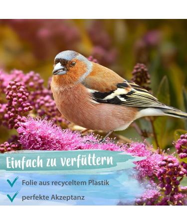 Ida Plus - Wheat-Free Bird Seed for Wild Birds - 4500g Winter Feed | Year-Round Optimal Mixture Fatty & Energy-Rich 3x1500g - Buy Online on GoSupps.com