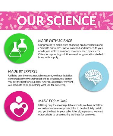 Lactation Cookies Mix - Oatmeal Chocolate Chip for Breast Milk Supply - 16oz - Buy Online on GoSupps.com